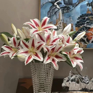 A级多头笑脸百合香水百合鲜花花瓶插花送老师长辈教师节顺丰发货