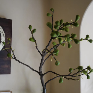 顺丰·无花果鲜花切枝花艺果实类插花婚礼家居酒店餐桌装饰花