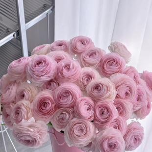 花蔓严选塞纳河巨星花毛茛洋牡丹花瓶插花新年高端插花新娘手捧花