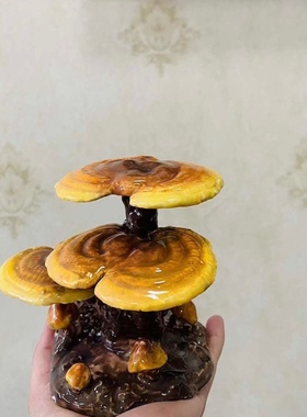 瓷蓓高温釉下彩陶瓷手工灵芝客厅玄关装饰品摆件电视柜桌面礼物