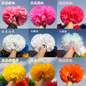 比赛亚光啦啦球啦啦操花球大课间专业健美舞蹈广场舞道具正品 定做
