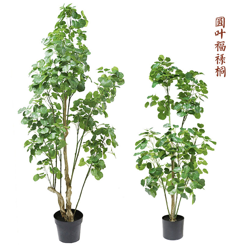仿真金钱兜圆叶福禄桐元宝树室内吉祥风水假绿植物盆栽景装饰摆设