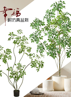 仿真幸福树落地绿植物盆栽室内客厅卧室橱窗吉利风水假树造景装饰