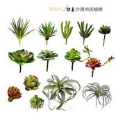 仿真假沙漠多肉肉植物金钱串观音雪宝手指牡丹石莲芦荟装 饰摆设