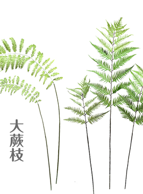 仿真猴头蕨桫椤蕨长单片叶枝室内森系组合投入式绿化造景装饰摆设