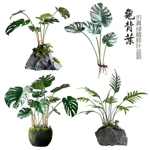 仿真龟背竹春芋叶南星蕨假石头青苔底座盆栽景室内ins风假绿植物