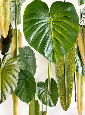 仿真蔓绿绒火鹤王水晶花烛网红彩色叶室内悬挂绿植物墙面造景装饰