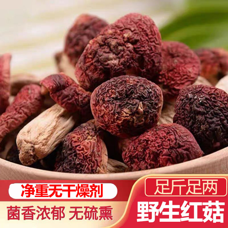 纯野生红菇干货500g新货红蘑菇
