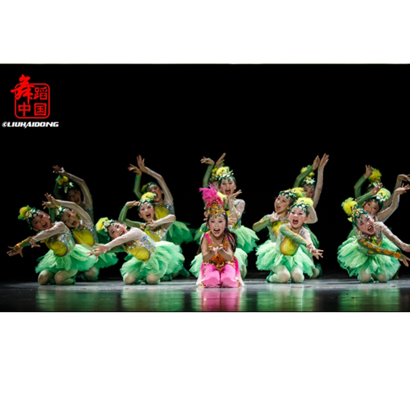 小荷风采阿米娜的果园奇遇莲塘荷景儿童舞蹈红绿演出服蓬蓬纱裙