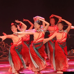 同款 家 舞蹈演出表演服专业定制 美丽河北我 女子古典舞群舞