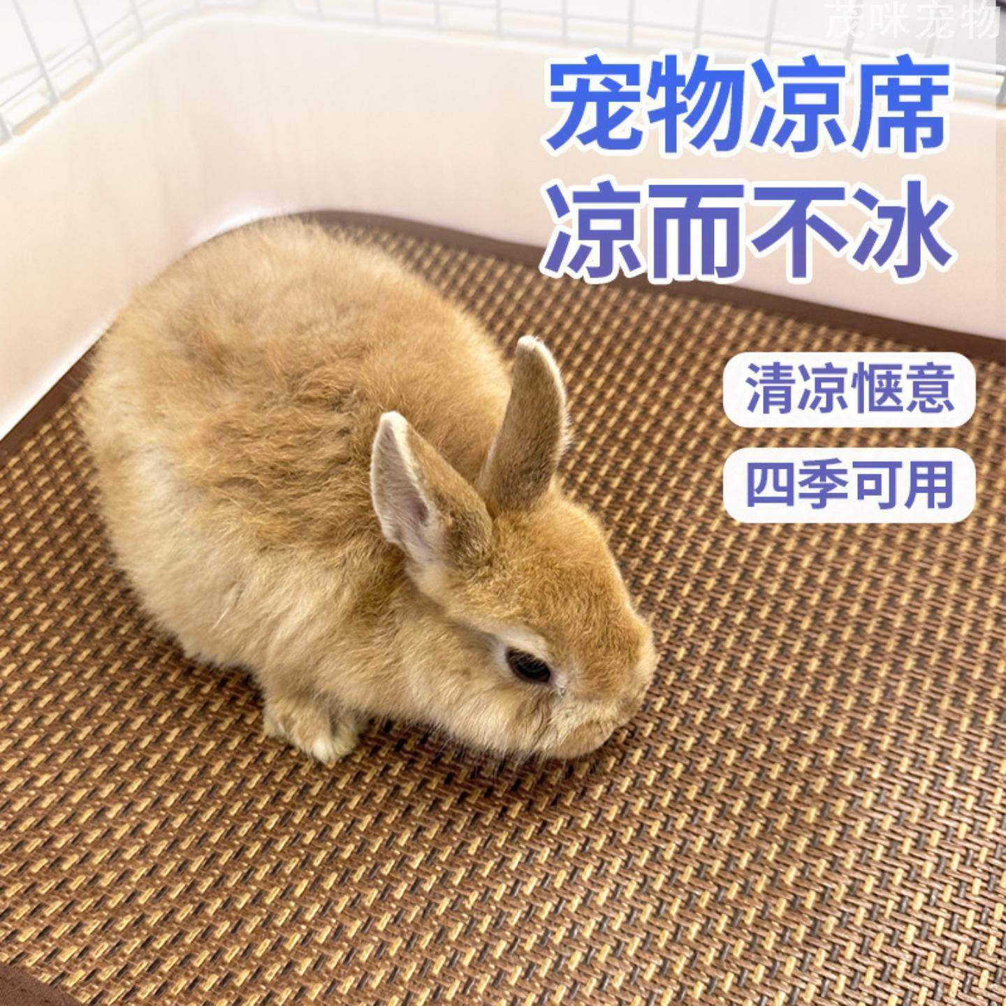 兔子凉爽凉席夏天宠物降温散热凉席睡垫龙猫豚鼠避暑藤垫宠物藤垫,宠物/宠物食品及用品,散热板,淘宝优惠券,粉丝福利购,淘宝优惠卷