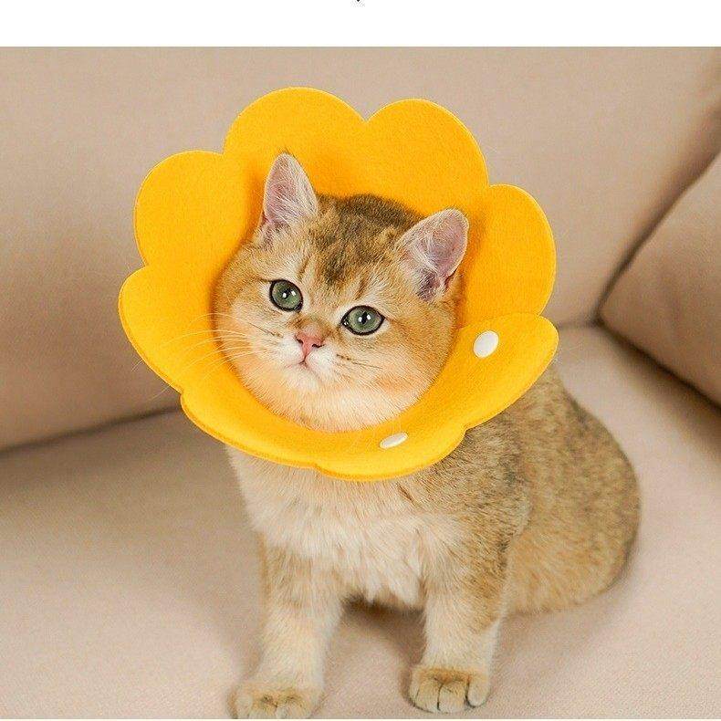 伊丽莎白圈猫咪术后防舔轻薄毛毡头套可调节宠物项圈实用恢复,宠物/宠物食品及用品,宠物伊丽莎白圈,淘宝优惠券,粉丝福利购,淘宝优惠卷