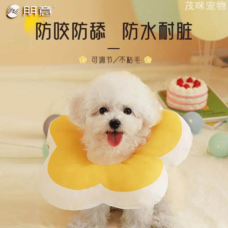 狗狗伊丽莎白圈沙白头套防舔咬宠物围脖实用保护,宠物/宠物食品及用品,宠物伊丽莎白圈,淘宝优惠券,粉丝福利购,淘宝优惠卷