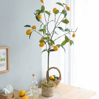 Качественное лимонное напольное украшение в помещении для гостиной, лампа для растений