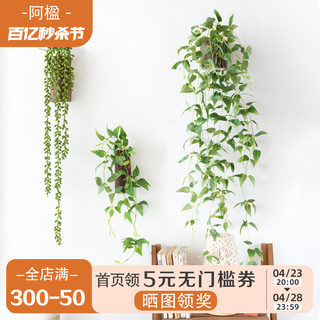 阿楹 墙上仿真植物装饰多肉壁挂花盆 垂藤阳台田园墙面绿植小挂件