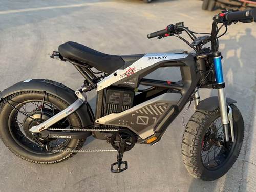 ORINGX牌款九号 SEGWAY 2024款 赛格威后避震器