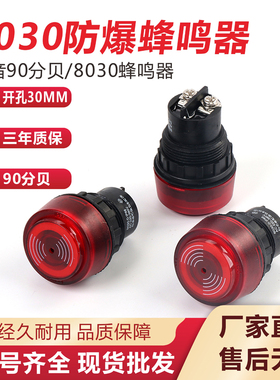 BA8030防爆闪光蜂鸣器防爆声光报警灯器ac220V380v24v开孔30mm