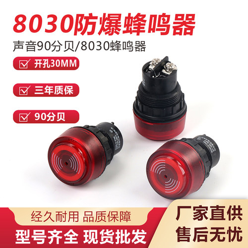 BA8030防爆闪光蜂鸣器防爆声光报警灯器ac220V380v24v开孔30mm