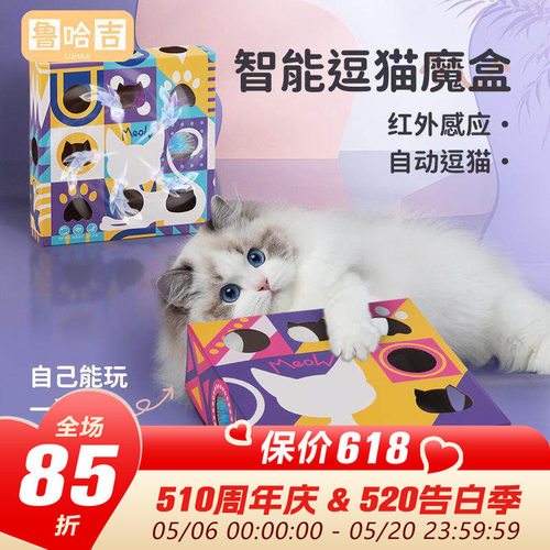 小猫咪自嗨玩具领养之家
