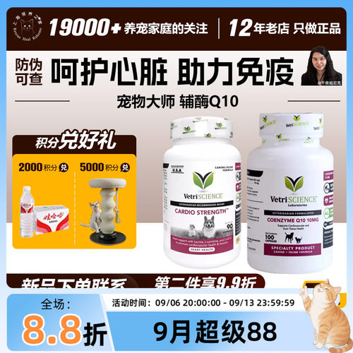 辅酶Q10通用益心强心锭保健