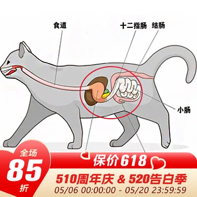 倍酷肠道组合套餐保养
