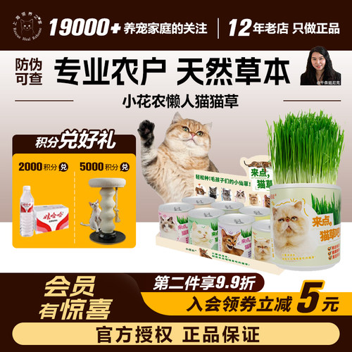 懒人猫草盆栽去毛球促排便