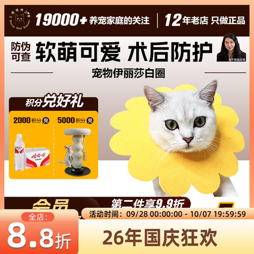 伊丽莎白圈颜值高好用