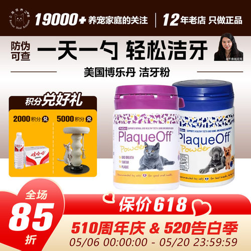 除口臭清洁去牙结石猫咪猫咪