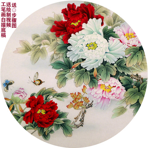 白描底稿临摹有绘制视频步骤彩图