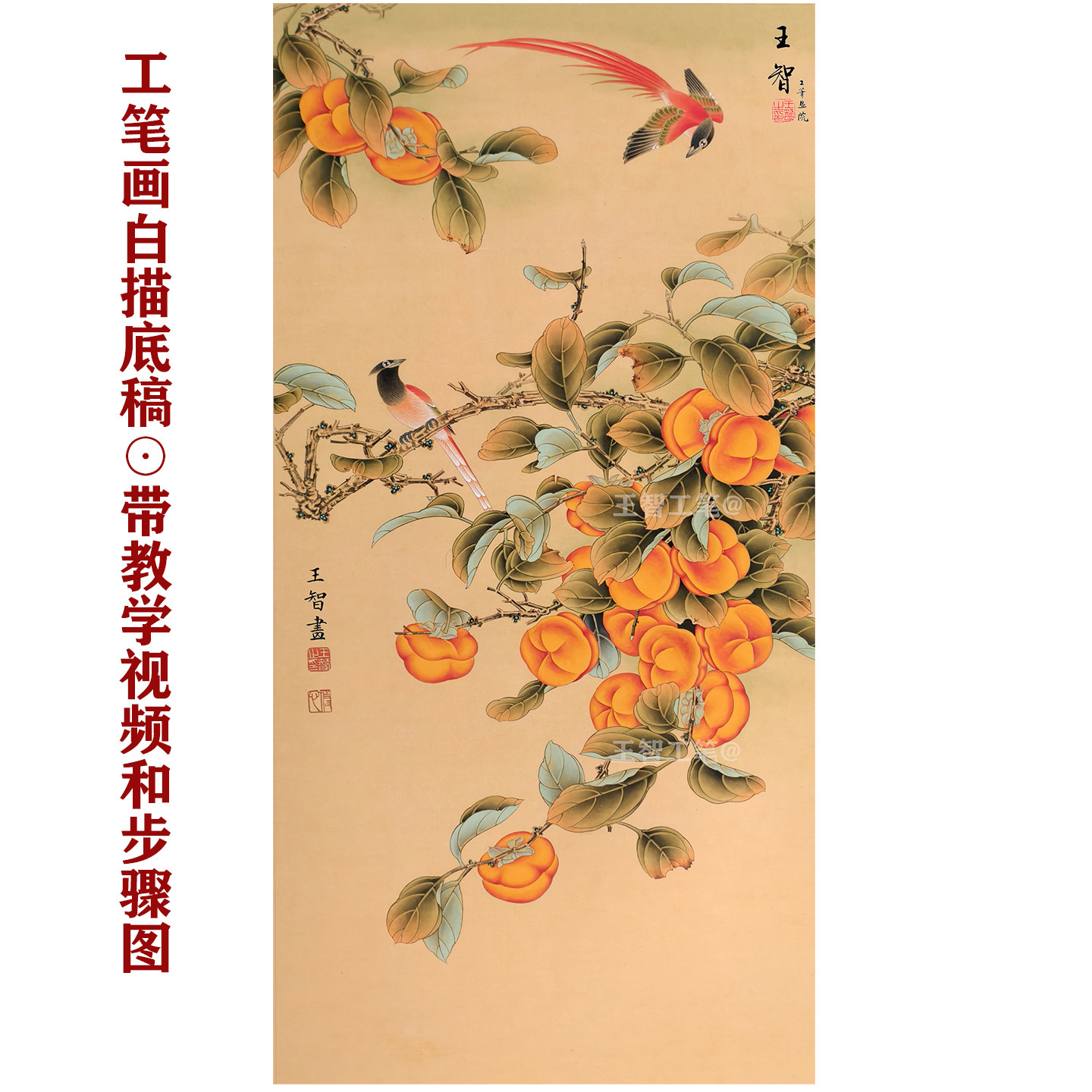 工笔画底稿柿子国画白描画稿柿柿如意临摹底稿白描线稿手勾可上色