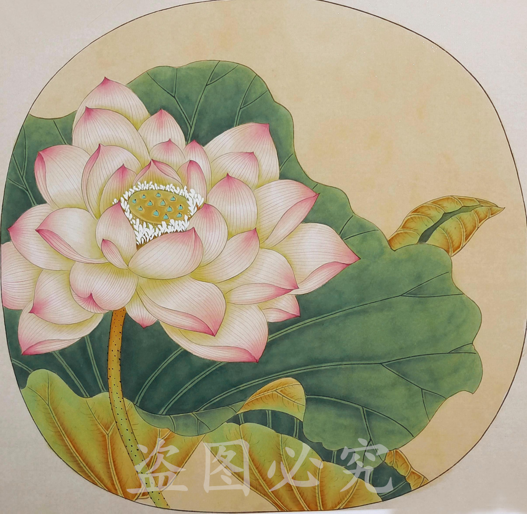 工笔画白描底稿线稿纯手勾熟宣线描底稿可直接上色国画带教学视频 文具电教/文化用品/商务用品 书法绘画学习套装/考级套装 原图主图