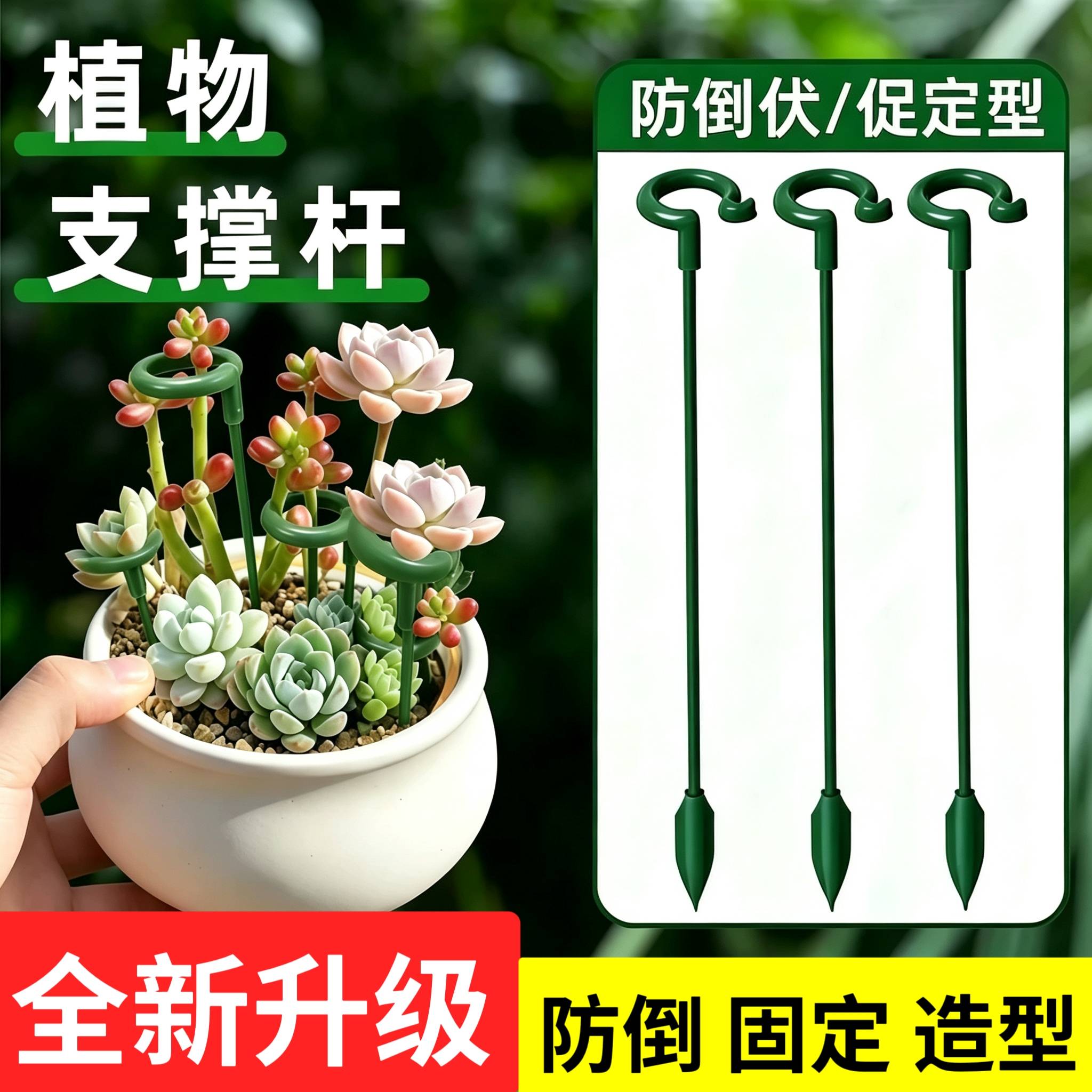 园艺支撑架花支架花卉扶正天堂鸟盆栽绿植物龟背竹吊兰固定防倒伏
