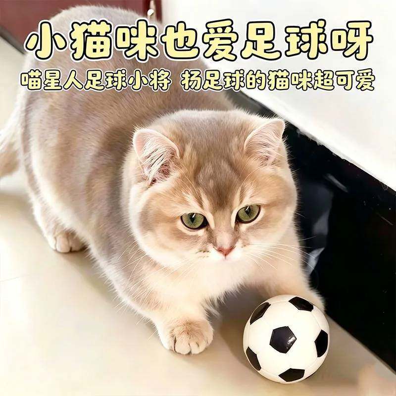 猫玩具足球篮球逗猫棒猫咪自嗨解闷神器可爱耐咬耐磨互动宠物用品
