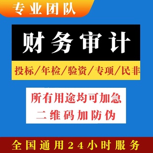 公司投标审计咨询服务高企验资专项财务报告离任清算评估报告资料
