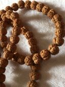 花王树王树祖树神小金刚菩提子手串108梅花桩龙鳞纹盘龙纹男项链