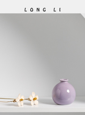 隆利陶瓷花瓶ins简约日式家居客厅玄关摆件装饰软装干花水培花器