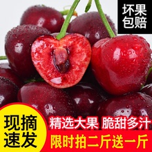 山东烟台大樱桃新鲜水果5斤孕妇现摘当季整箱国产车厘子美早3包邮