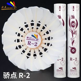 骄点羽毛球R2/R-2焦点飞行稳定好手感耐打12只比赛用球ymq金威肯