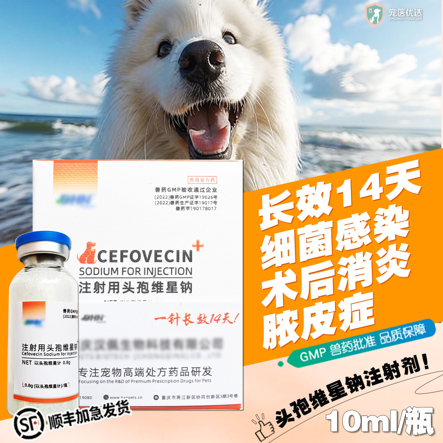 宠物猫狗长效消炎针头孢维星钠狗猫咪绝育术后消炎脓皮症康卫宁