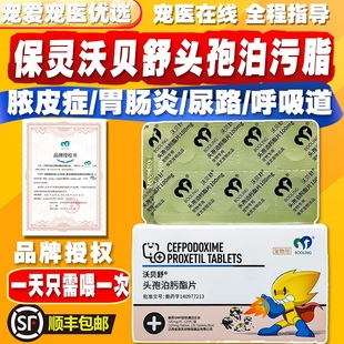 保灵沃贝舒猫狗脓皮症尿路肠胃炎皮肤细菌感染消炎药头孢泊污脂片