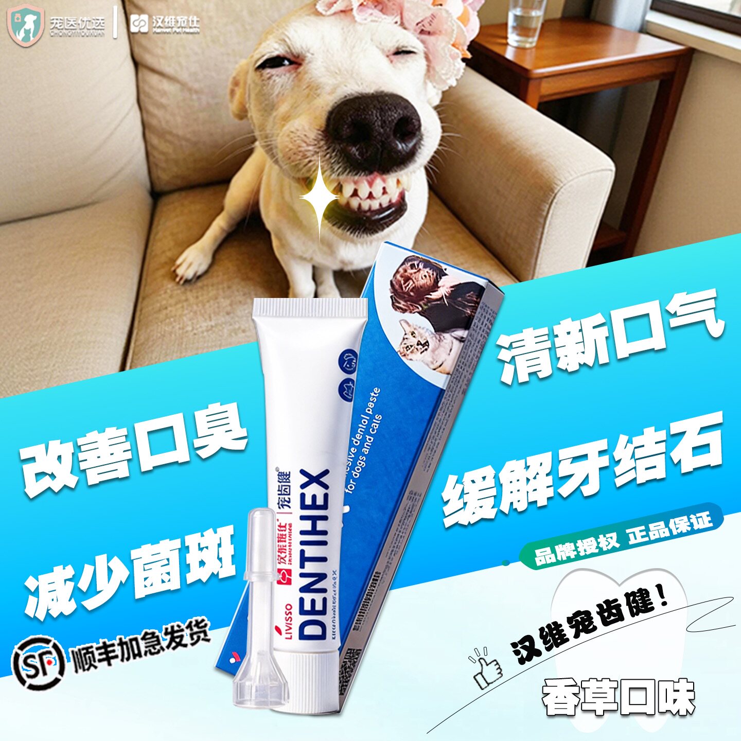 汉维宠齿健宠物猫狗口腔清洁护理清新口气预防牙结石洁齿牙膏凝胶图片
