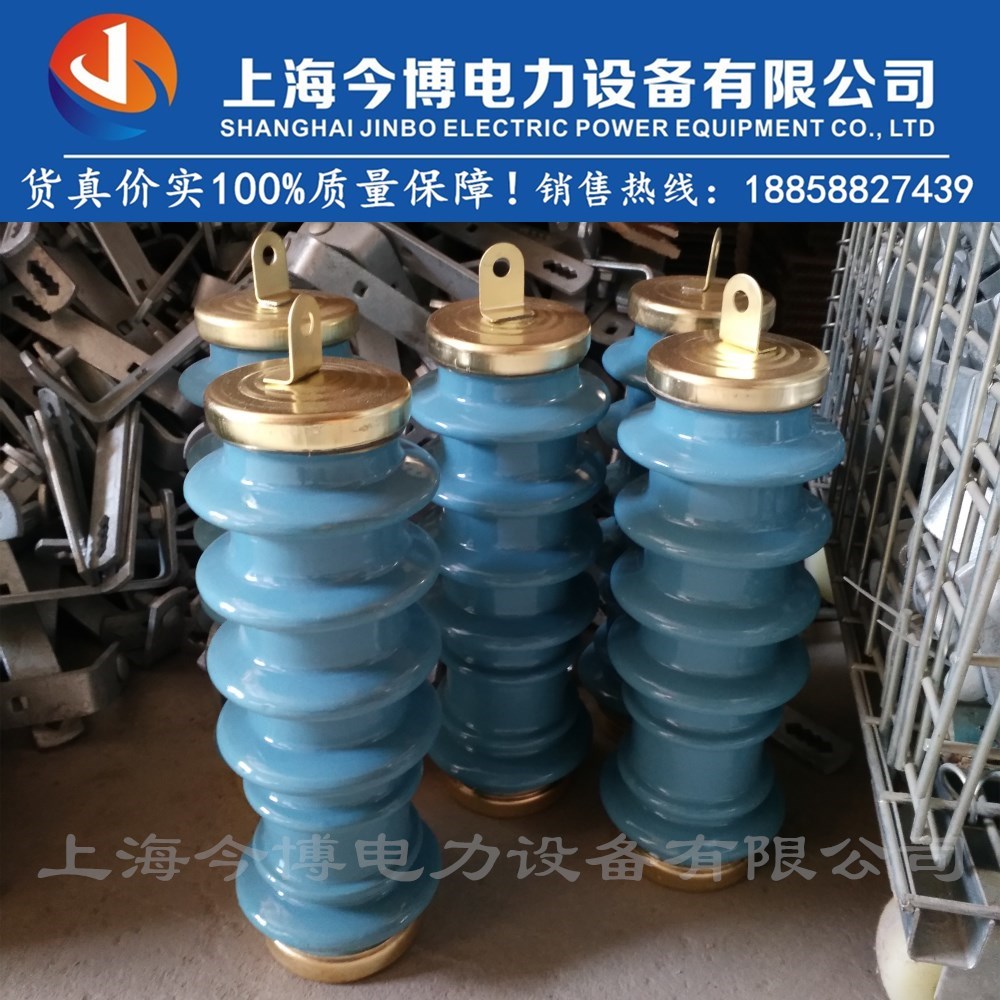 Y5WS-17/50FT蓝色新型陶瓷10kv高压免维护氧化锌避雷器y5ws