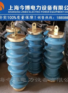 Y5WS-17/50FT蓝色新型陶瓷10kv高压免维护氧化锌避雷器y5ws