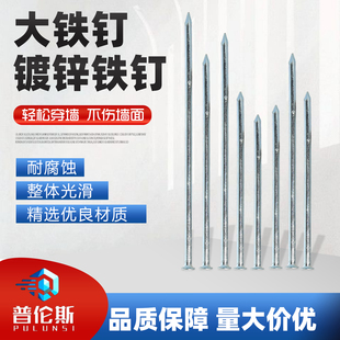 镀锌大铁钉特大号加长钉5寸6寸8寸9寸10寸12寸木工钉加粗铁钉批发