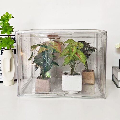 闷养箱热带植物保温箱