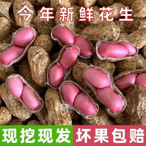 思乡味品红皮干花生广西新花生