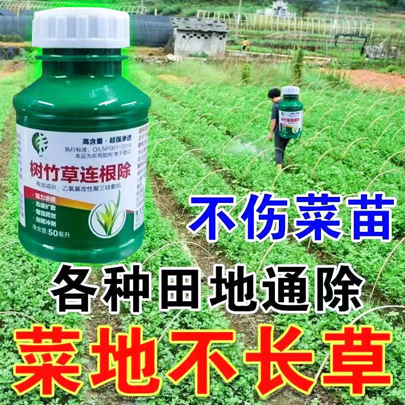 【热销】青菜地专用除草剂安全不伤苗斩草除根灭草农药喷剂专用药