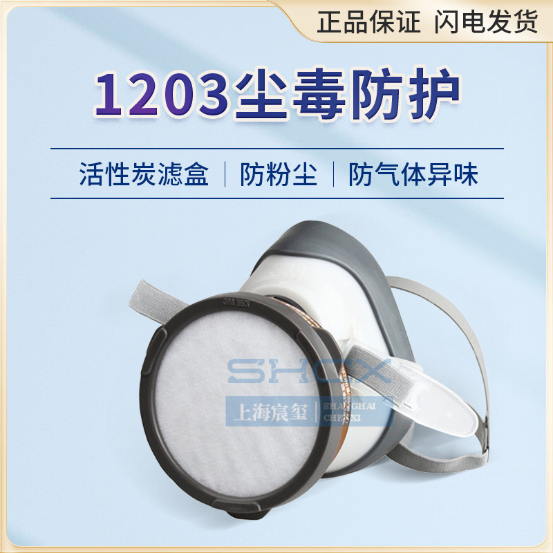 防毒喷漆农药防尘气体面罩套装