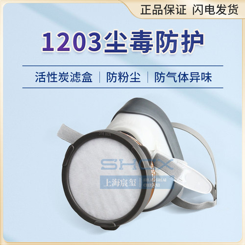 防毒喷漆农药防尘气体面罩套装