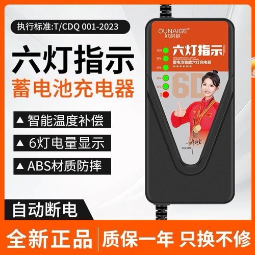 自动断电电动车电瓶车充电器48V60V72V20A铅酸电池两轮三轮车通用